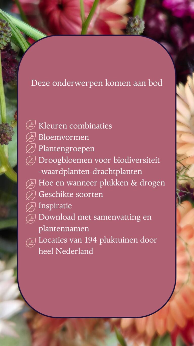 Online cursus droogbloemen - Zaden uit Zalk