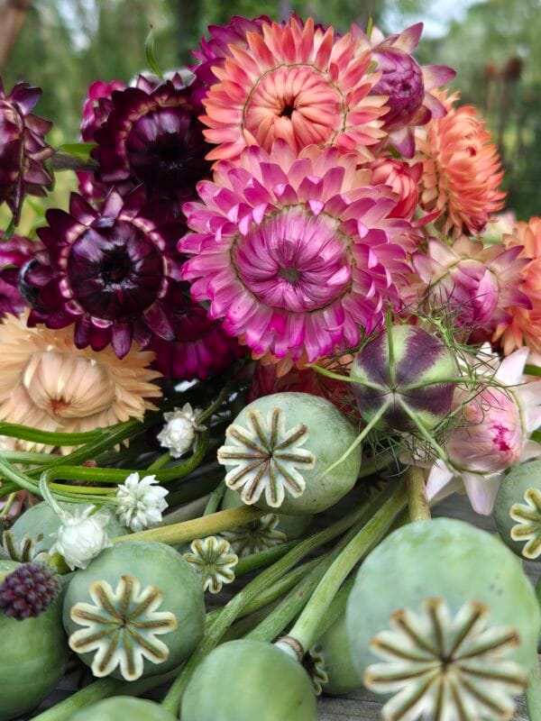 VOL aanmelden kan niet meer

live workshop 'Krans maken & alles over droogbloemen' - Afbeelding 9