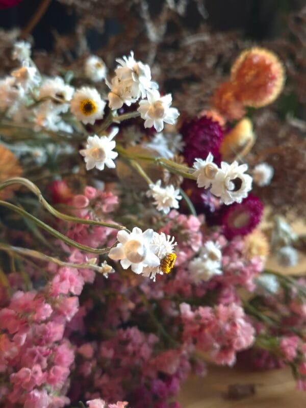 VOL aanmelden kan niet meer

live workshop 'Krans maken & alles over droogbloemen' - Afbeelding 7