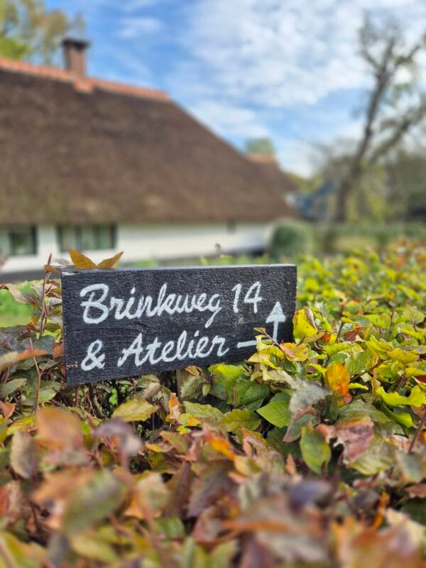 VOL aanmelden kan niet meer

live workshop 'Krans maken & alles over droogbloemen' - Afbeelding 11