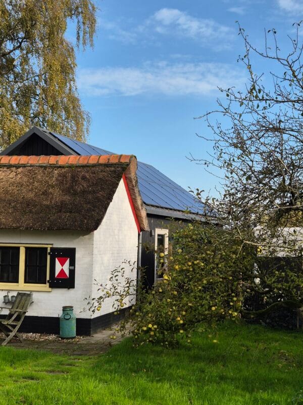 VOL aanmelden kan niet meer

live workshop 'Krans maken & alles over droogbloemen' - Afbeelding 12