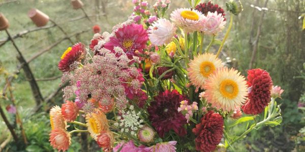 Online cursus pluktuinieren - geplukte bos bloemen