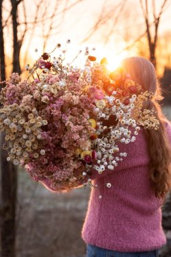 droogbloemen in de winter