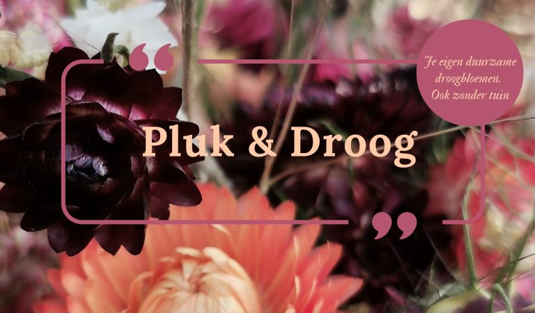 Mei Q&A en rondje tuin